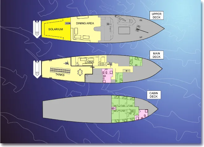 The Plans