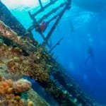 Umbria wreck structures