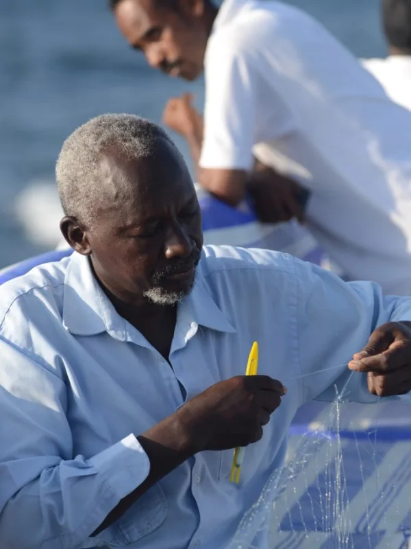 UNIDO Survey: Research Expedition